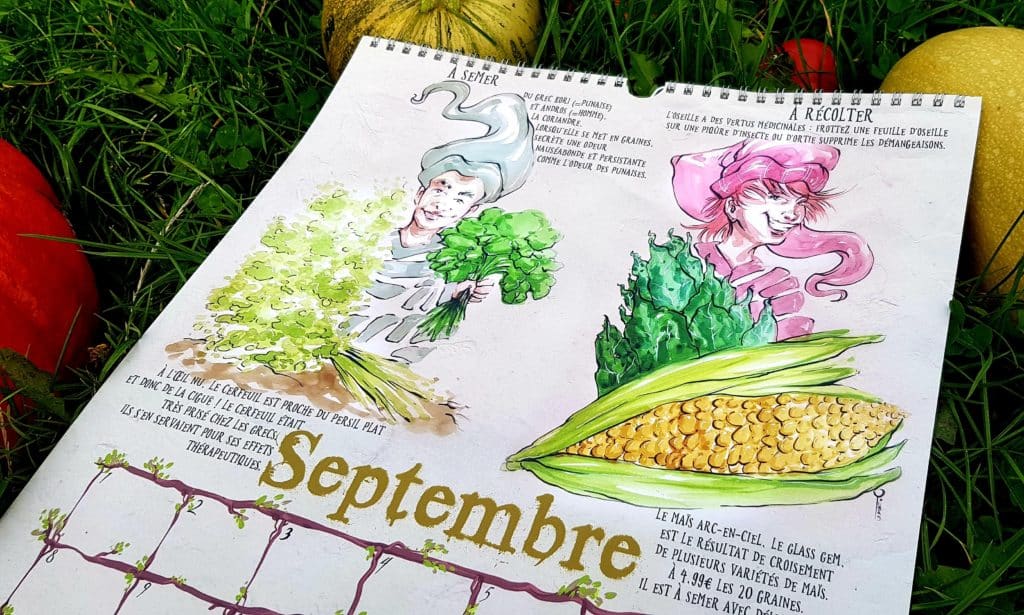 calendrier du potager septembre